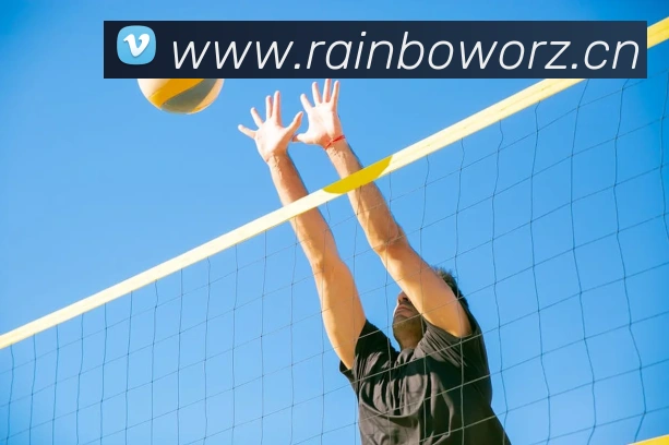 App Interface Preview